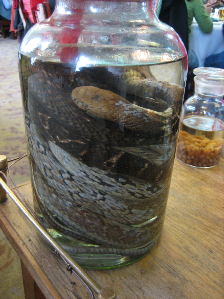 China_-_Snake_Wine.JPG