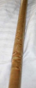 birdseye1.jpg