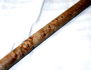 birdseye2.jpg